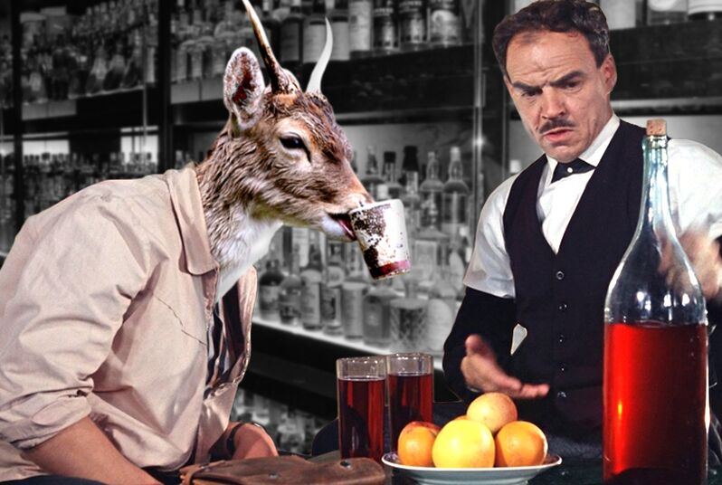 Norma za pitje alkohola